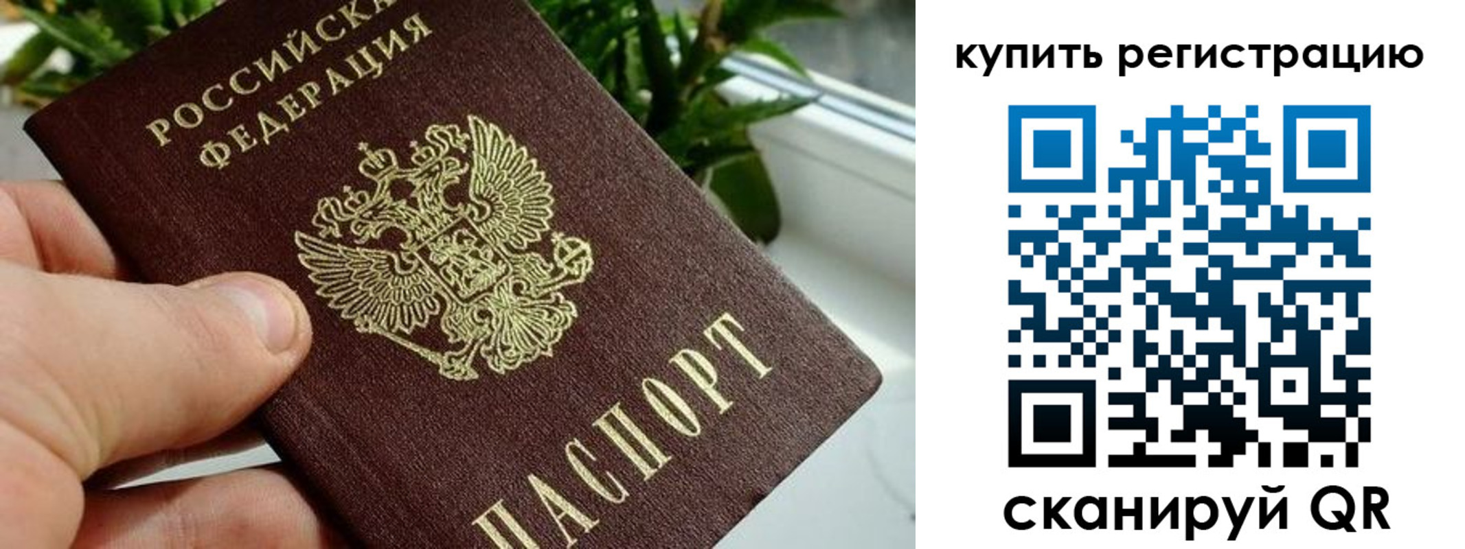 прописка гарантия в Дубовке